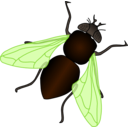download Green House Fly clipart image with 270 hue color