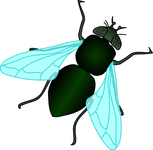 Green House Fly