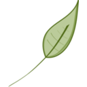 download Green Leaf clipart image with 315 hue color