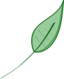 Green Leaf
