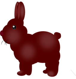 Chocolate Bunny