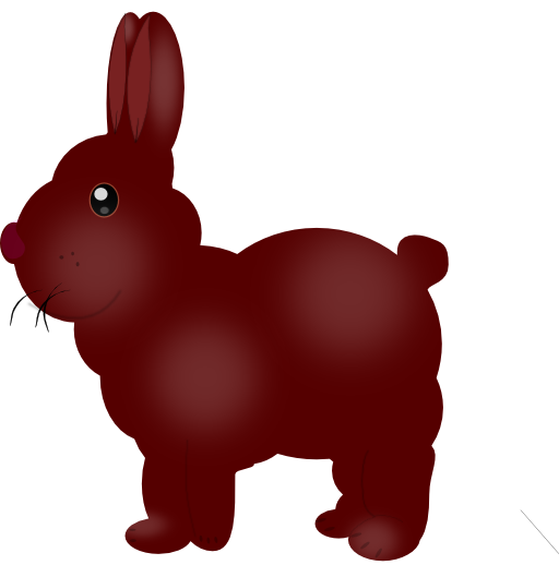 Chocolate Bunny