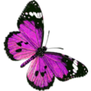 download Danaus Chrysippus clipart image with 270 hue color
