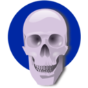 download Human Skull clipart image with 225 hue color