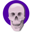 download Human Skull clipart image with 270 hue color