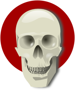 Human Skull