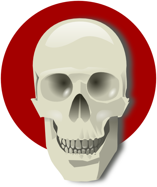 Human Skull