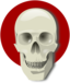 Human Skull