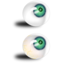 download Eyeball Green Bloodshot clipart image with 45 hue color
