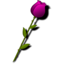 download Rose clipart image with 315 hue color