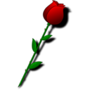 download Rose clipart image with 0 hue color