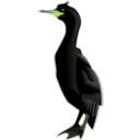 download Cormorant clipart image with 45 hue color