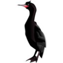 download Cormorant clipart image with 315 hue color