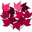 download Fall2010 14 clipart image with 315 hue color