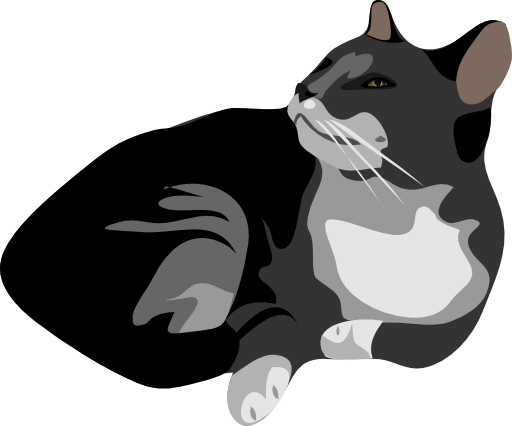 Architetto Gatto