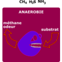 download Degradation Anaerobie clipart image with 90 hue color