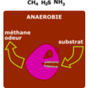 download Degradation Anaerobie clipart image with 135 hue color