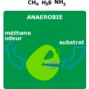download Degradation Anaerobie clipart image with 270 hue color