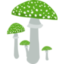 download Mushrooms 4 clipart image with 90 hue color