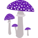 download Mushrooms 4 clipart image with 270 hue color
