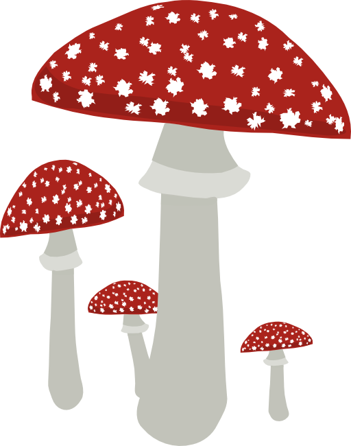 Mushrooms 4