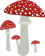 Mushrooms 4