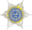 Haeckel Polycyttaria