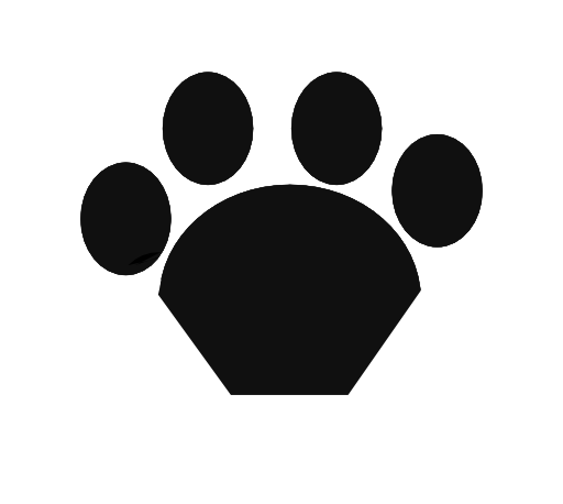Black Cat Paw