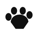 Black Cat Paw