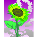 download Sunflower clipart image with 45 hue color