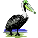 download Pelican clipart image with 45 hue color