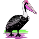 download Pelican clipart image with 270 hue color