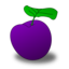 Plum Ameixa