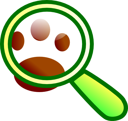 Find