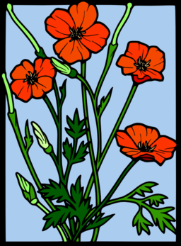 Coloured Poppy Stained Glass