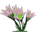 download Anemone Patens clipart image with 45 hue color