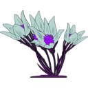 download Anemone Patens clipart image with 225 hue color