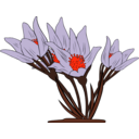 download Anemone Patens clipart image with 315 hue color