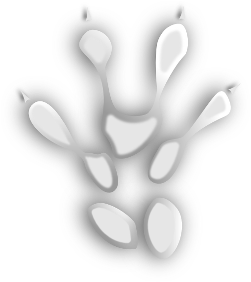 Footprint 4