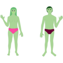 download Human Body Man And Woman clipart image with 90 hue color