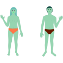 download Human Body Man And Woman clipart image with 135 hue color