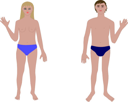 Human Body Man And Woman