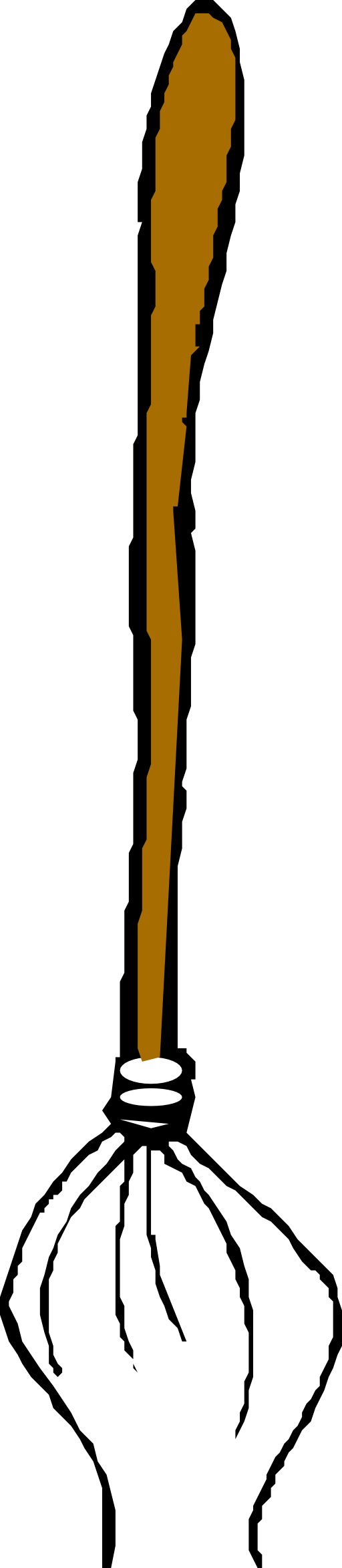 Mop