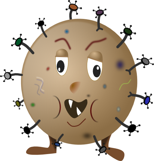 Germ 4c