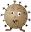 Germ 4c