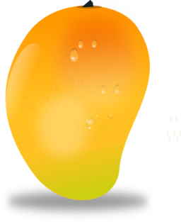 Mango Fruit