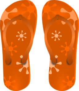 Flip Flops