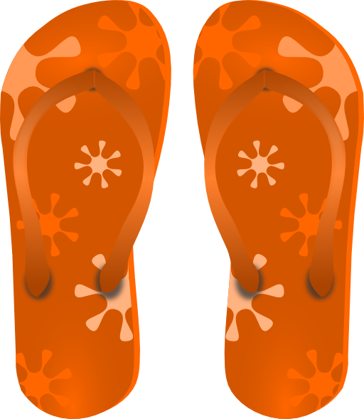 Flip Flops