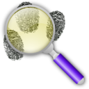download Fingerprint Search With Slight Magnification clipart image with 225 hue color