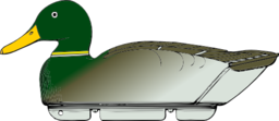 Duck Decoy Side View